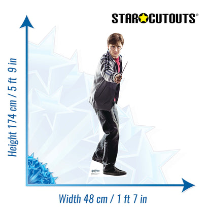 SC670 Harry Potter Cardboard Cut Out Height 174cm