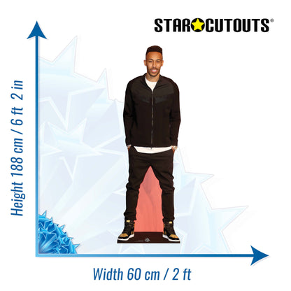 CS811 Pierre Emerick Height 188cm Lifesize Cardboard Cut Out With Mini