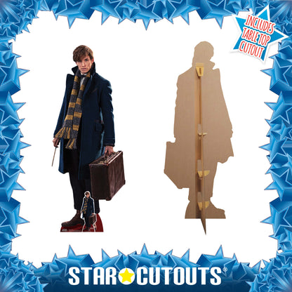 SC946 Newt Scamander Fantastic Beasts Cardboard Cut Out Height 177cm
