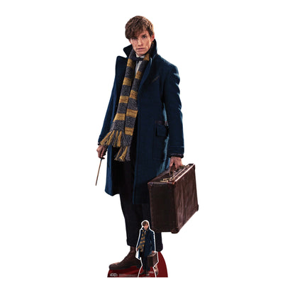 SC946 Newt Scamander Fantastic Beasts Cardboard Cut Out Height 177cm