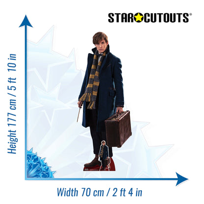 SC946 Newt Scamander Fantastic Beasts Cardboard Cut Out Height 177cm