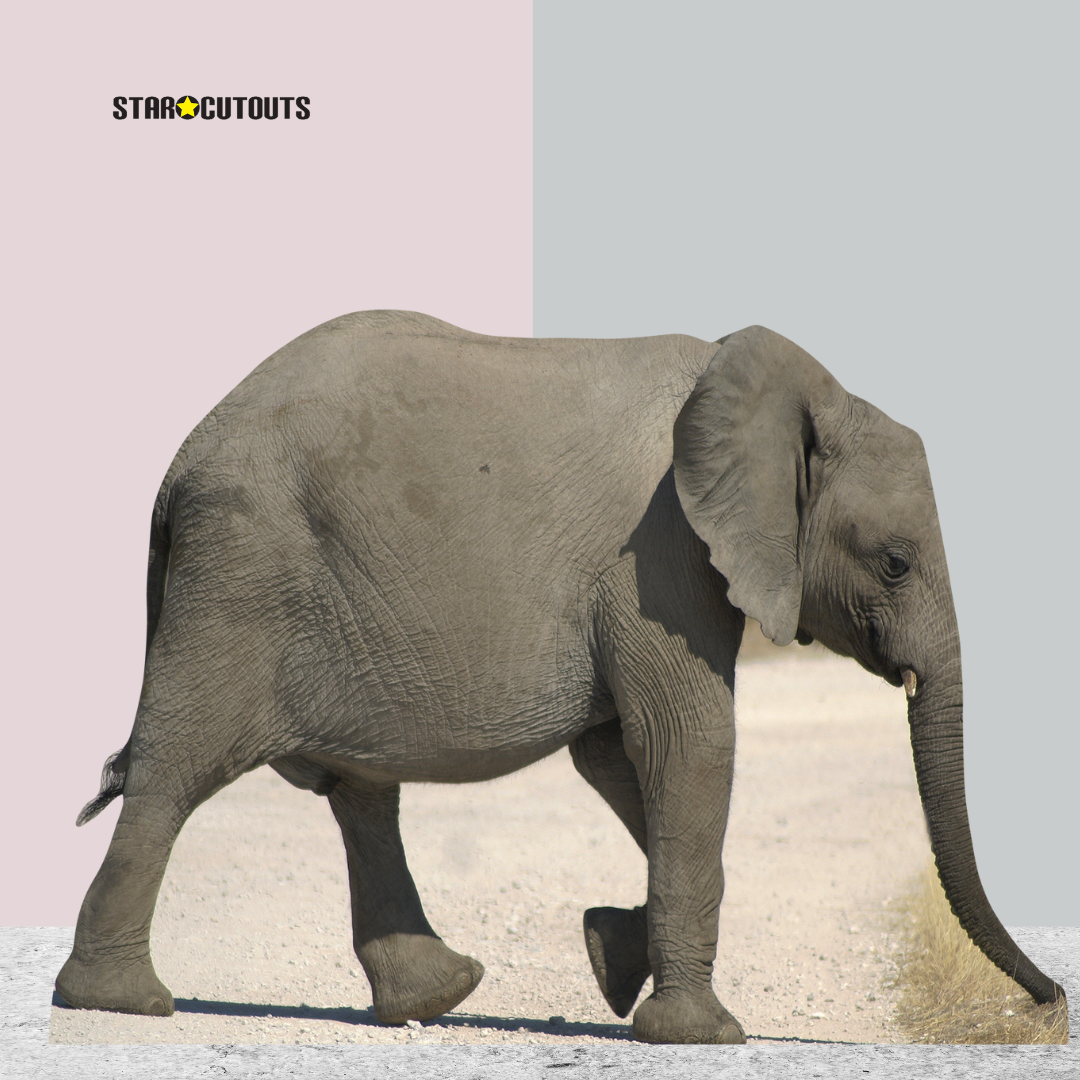 SC069 Baby Elephant Cardboard Cut Out Height 93cm