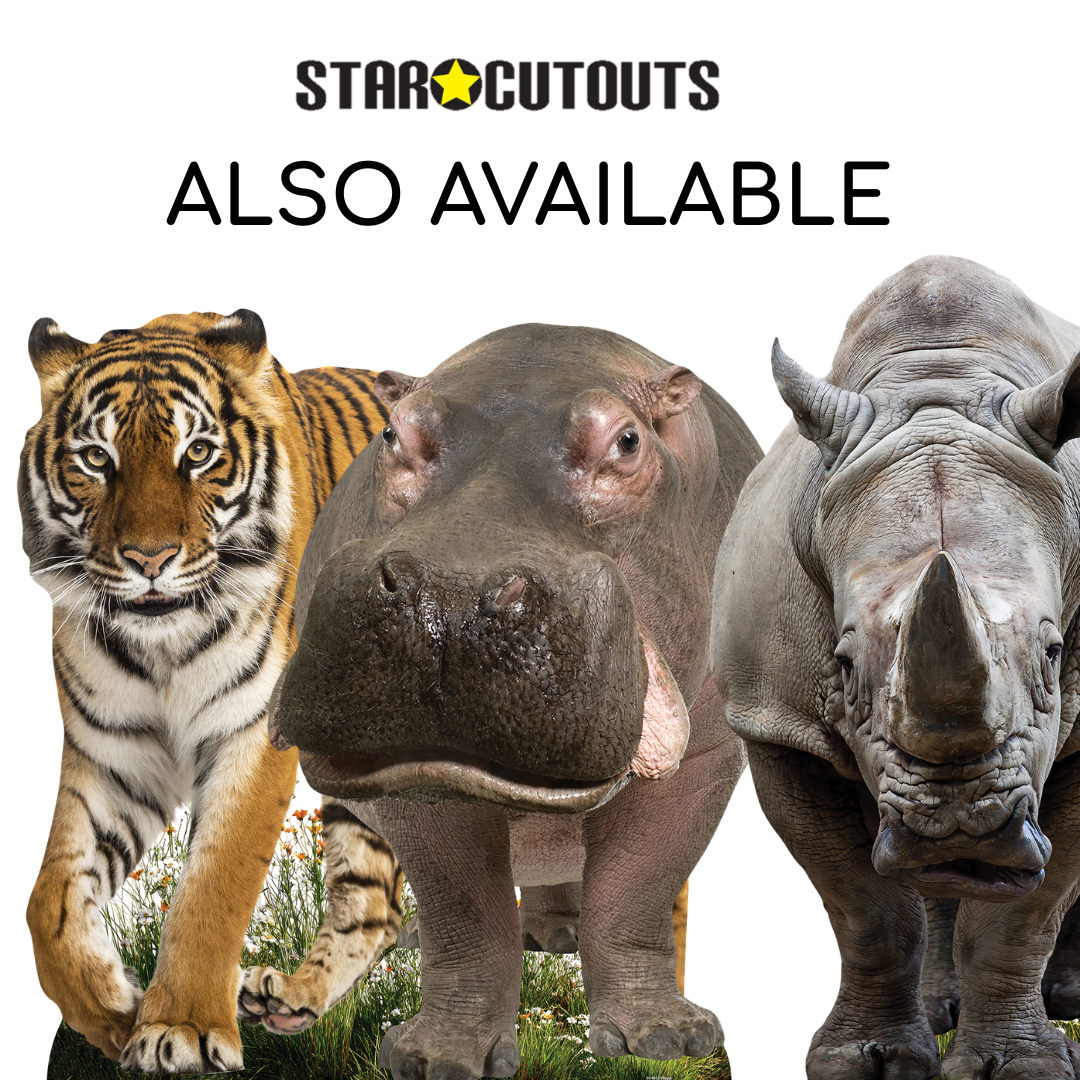 SC4903 Rhino Side View  Cardboard Cutout Height 94cm