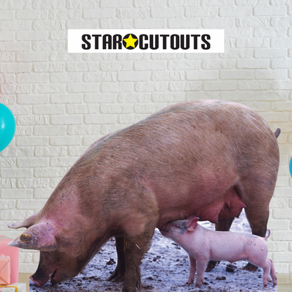 SC065 Pig and Piglet Cardboard Cut Out Height 87cm
