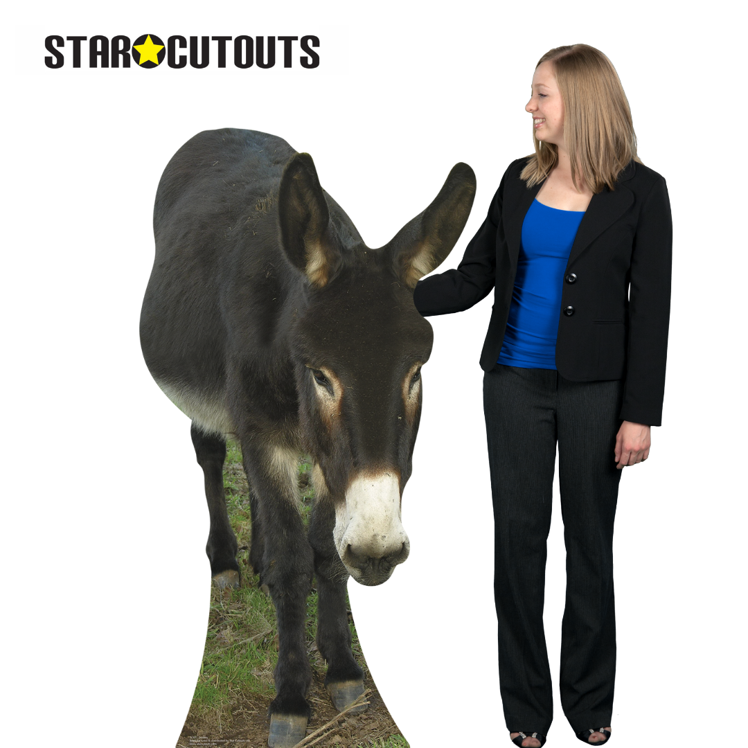 SC071 Donkey Cardboard Cut Out Height 130cm
