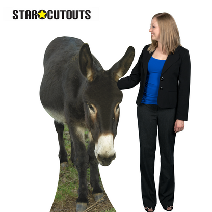 SC071 Donkey Cardboard Cut Out Height 130cm