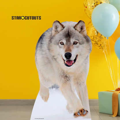 SC221 Wolf Cardboard Cut Out Height 89cm