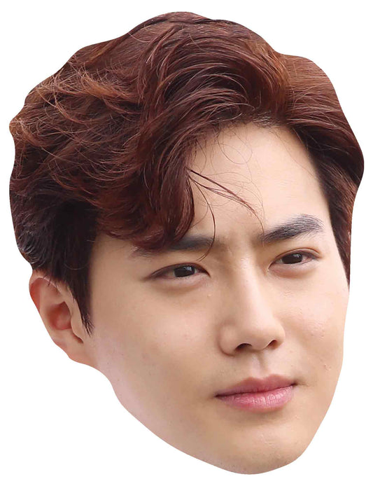 CM201 Suho EXO  Celebrity Mask Single Face Mask