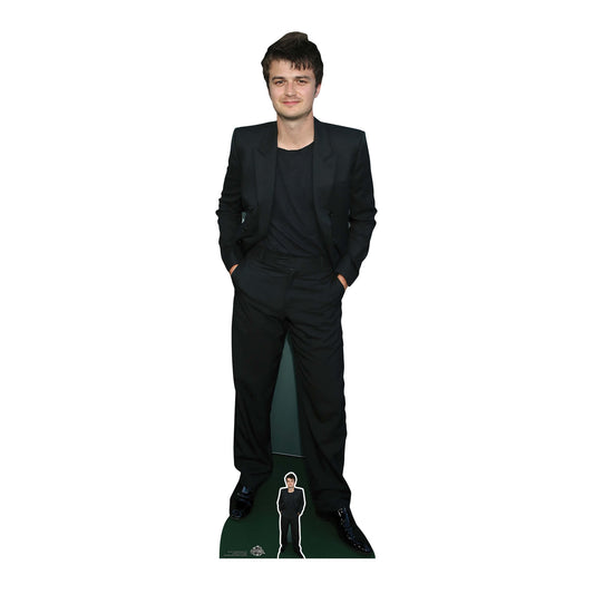 Joe Keery life size cardboard cutout for Stranger Things fan party