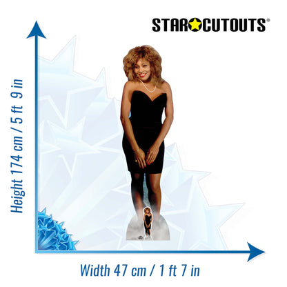 CS1032 Tina Turner Height 174cm Lifesize Cardboard Cut Out With Mini