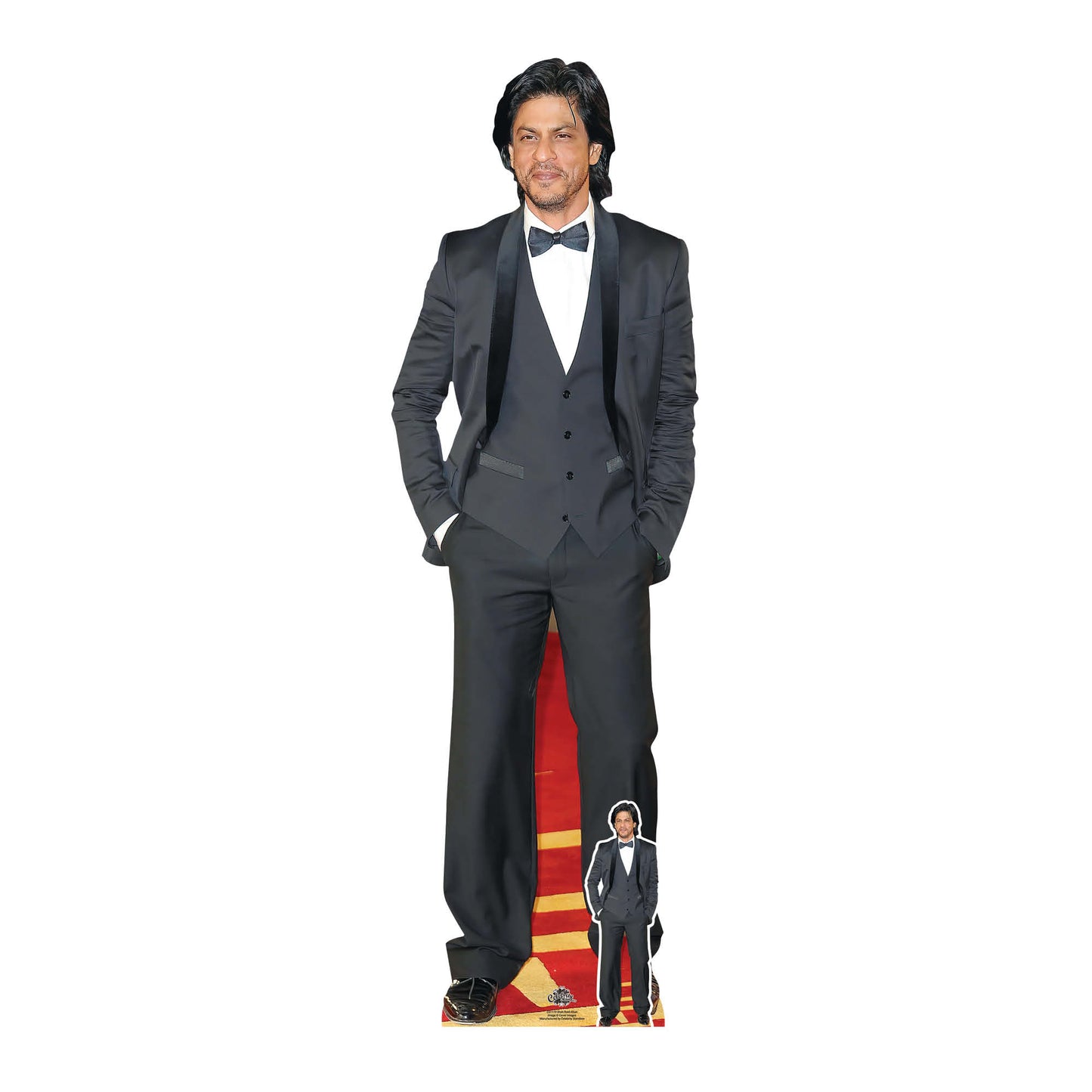 CS1119 Shah Rukh Khan Longhair Height 171cm Cardboard Cutout