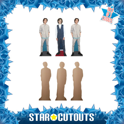 CS1195 Timothee Chalamet Three Pack Shelf Top Cutout  Cardboard Cut Out Height 31cm