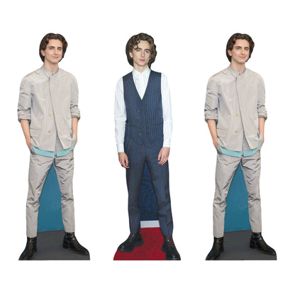 Timothee Chalamet Small Cardboard Cutouts