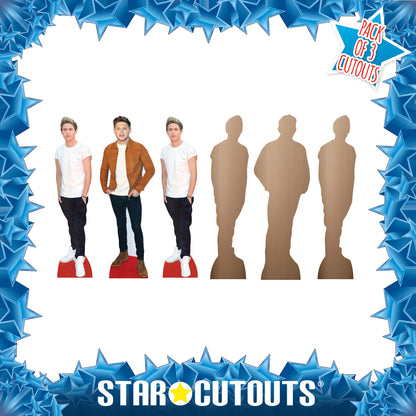 CS1232  Niall Horan Shelf Top Cutout Pack of Three  Cardboard Cutouts Height 31cm