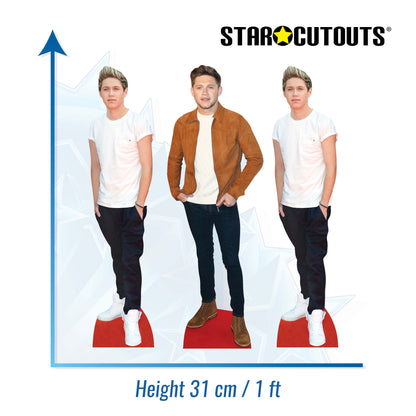 CS1232  Niall Horan Shelf Top Cutout Pack of Three  Cardboard Cutouts Height 31cm