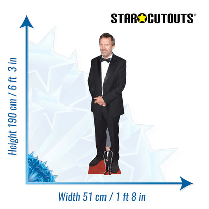 CS1291 Hugh Laurie Cardboard Cutout Height 190cm