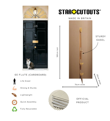 Star Cutouts cardboard cutout with dimensions and features on a white background