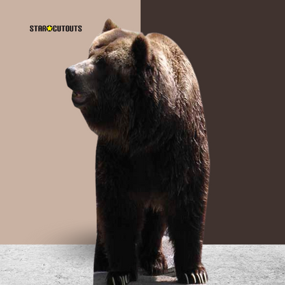 SC072 Bear Cardboard Cut Out Height 165cm