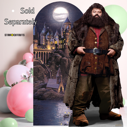 SC4521 Nighttime Hogwarts Backdrop Single - FSC Cardboard Cut Out Height 185cm