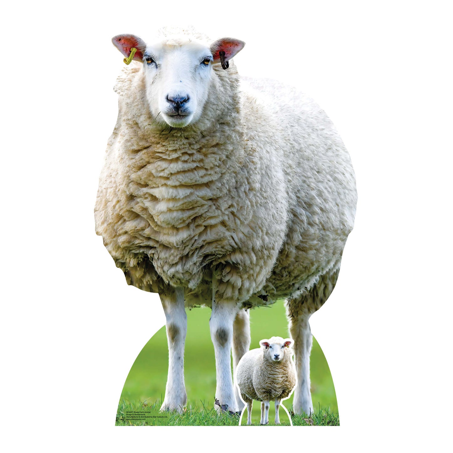 SC4437 Sheep Farm Animal Cardboard Cut Out Height 94cm