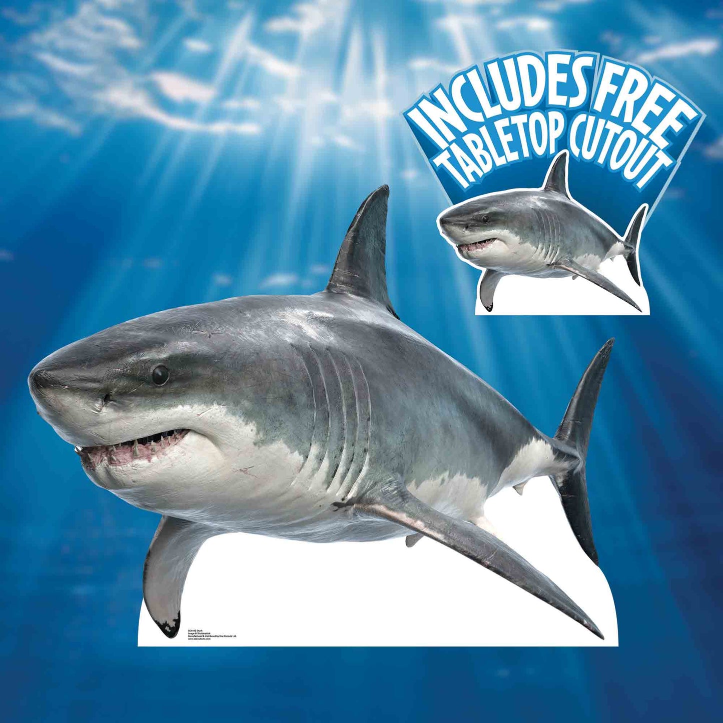 SC4442 Shark Real Height 94cm Width 120cm