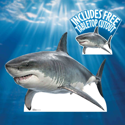 SC4442 Shark Real Height 94cm Width 120cm