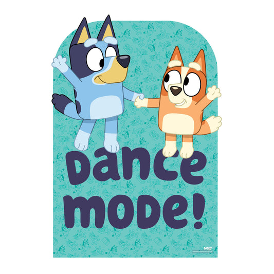 Bluey Party Dance Club Backdrop Sailboard