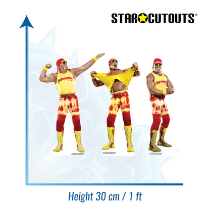 SC4580 Hulk Hogan Three Shelf Top Cardboard Cut Out Height 30cm