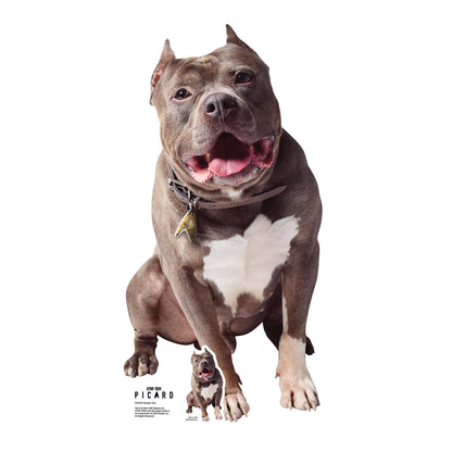 SC4707 Number One Cardboard Cut Out Height 72cm