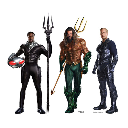 SC4727 Aquaman Jason Momoa Shelf Top Pack Cardboard Cutouts Height 31cm