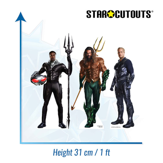 SC4727 Aquaman Jason Momoa Shelf Top Pack Cardboard Cutouts Height 31cm