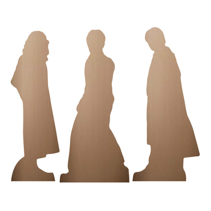 SC4739 Harry Potter, Hermione Granger & Ron Weasley  Shelf Top Pack Cardboard Cutouts Height 31cm