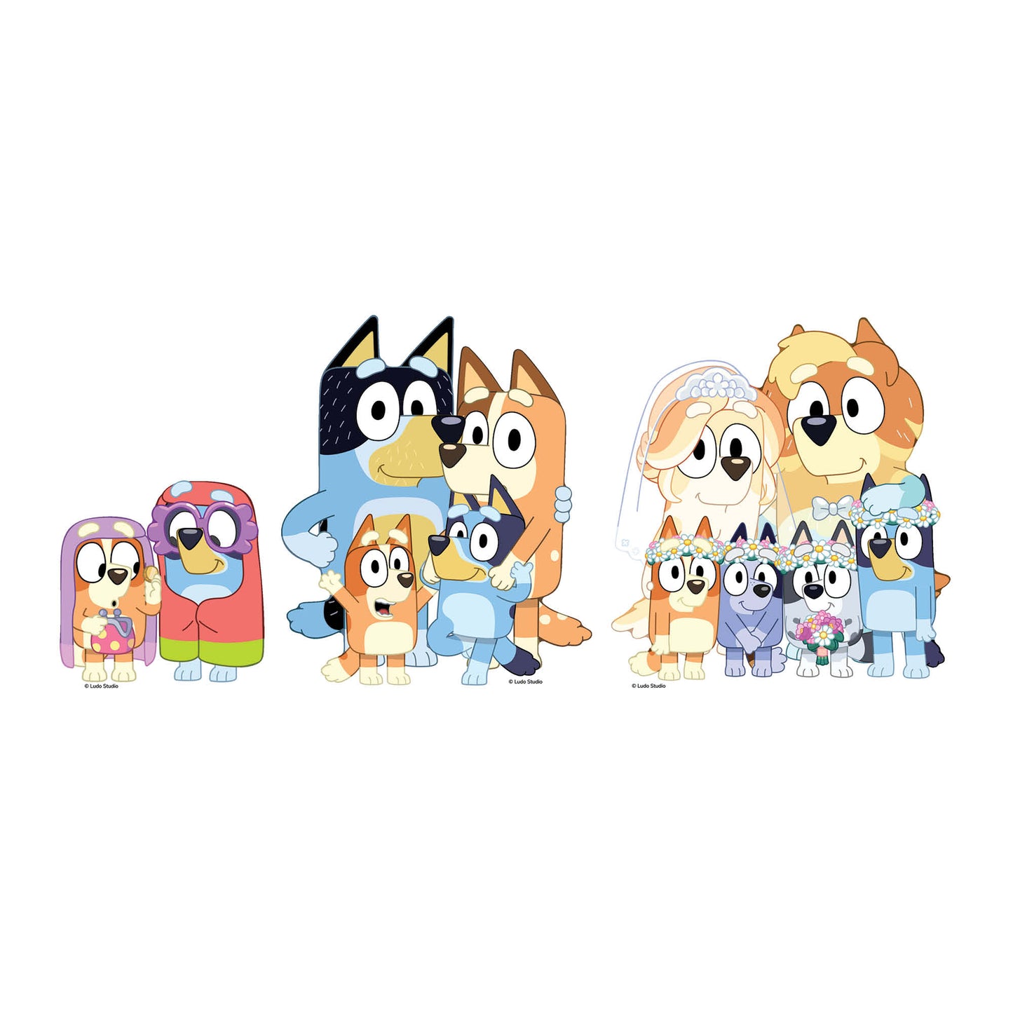 SC4766 Bluey & Bingo, Grannies, Heeler Family & Bluey Family Wedding Shelf Top Pack Cardboard Cutouts Height 21cm