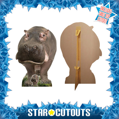 SC4852 Young Hippo Cardboard Cutout Height 133cm