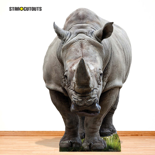 SC4853 Young Rhino  Cardboard Cutout Height 152cm