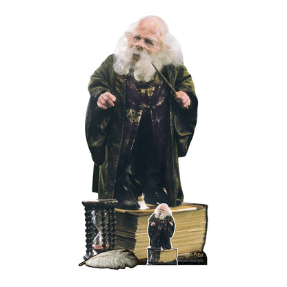 SC4891 Early Filius Flitwick Harry Potter Warwick Davis Cardboard Cutout Height 133cm