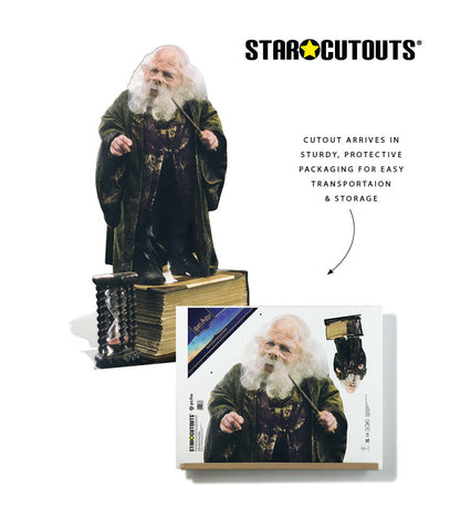 SC4891 Early Filius Flitwick Harry Potter Warwick Davis Cardboard Cutout Height 133cm