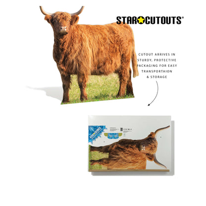 SC4955 Young Highland Cow in Meadow Cardboard Cutout Height 93cm