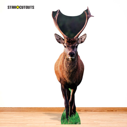 SC4958 Deer British Countryside Cardboard Cutout Height 196cm Includes Desktop