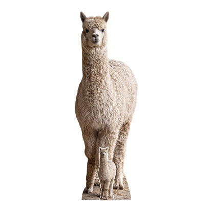 SC4972 Alpaca in Mountain Cardboard Cutout Height 159cm
