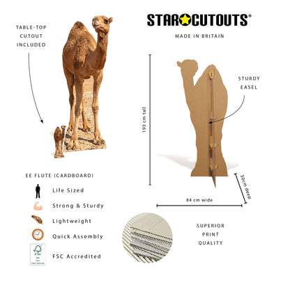 SC4973 Camel in Desert Cardboard Cutout Height 193cm