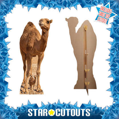SC4973 Camel in Desert Cardboard Cutout Height 193cm