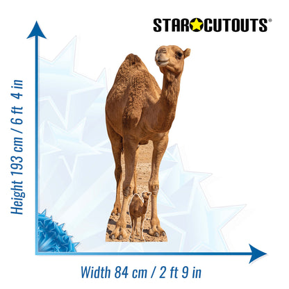 SC4973 Camel in Desert Cardboard Cutout Height 193cm