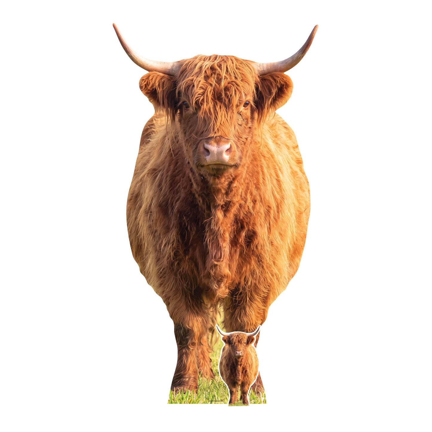 SC5028 Tall Highland Cow in Meadow Cardboard Cutout Height 168cm
