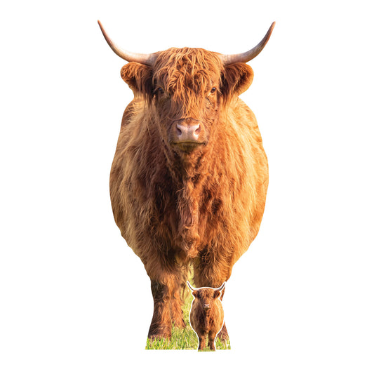SC5028 Tall Highland Cow in Meadow Cardboard Cutout Height 168cm