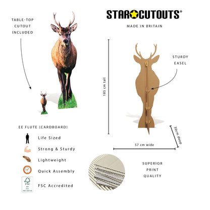 SC5029 Woodland Deer with Antlers Cardboard Cutout Height 185cm