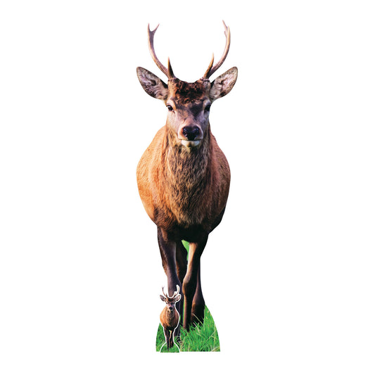 SC5029 Woodland Deer with Antlers Cardboard Cutout Height 185cm
