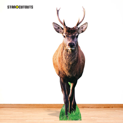 SC5029 Woodland Deer with Antlers Cardboard Cutout Height 185cm