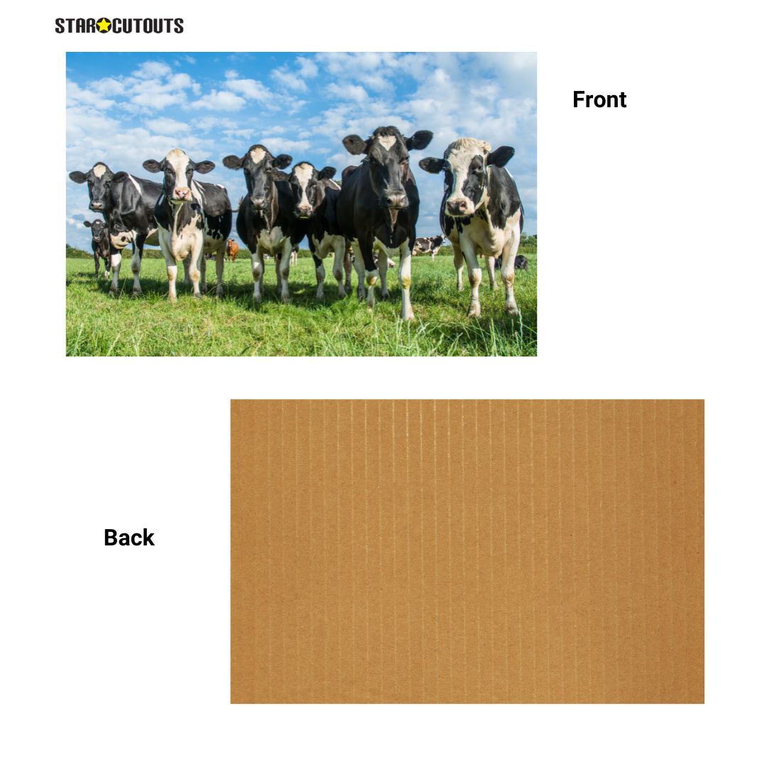 SCB001 -A1 Large Printed Rigid Rectangle Board, Poster, Sign  Cardboard Cut Out Height 59.4cm