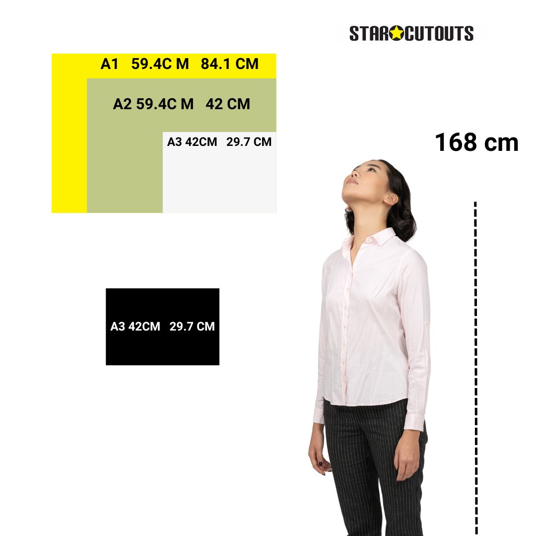 SCB003 -A3 Small Printed Rigid Rectangle Board, Poster, Sign Cardboard Cut Out Height 42cm